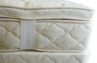 Latex Organic Topper by Suite Sleep