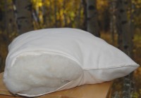 Wool Fill Pillows- Organic
