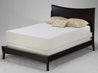 Natural Flex 11" Latex  by Boyd