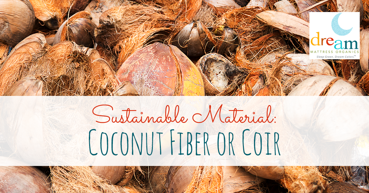 Sustainable Material: Coconut Fiber Coir Mattresses - Dream Mattress Organics